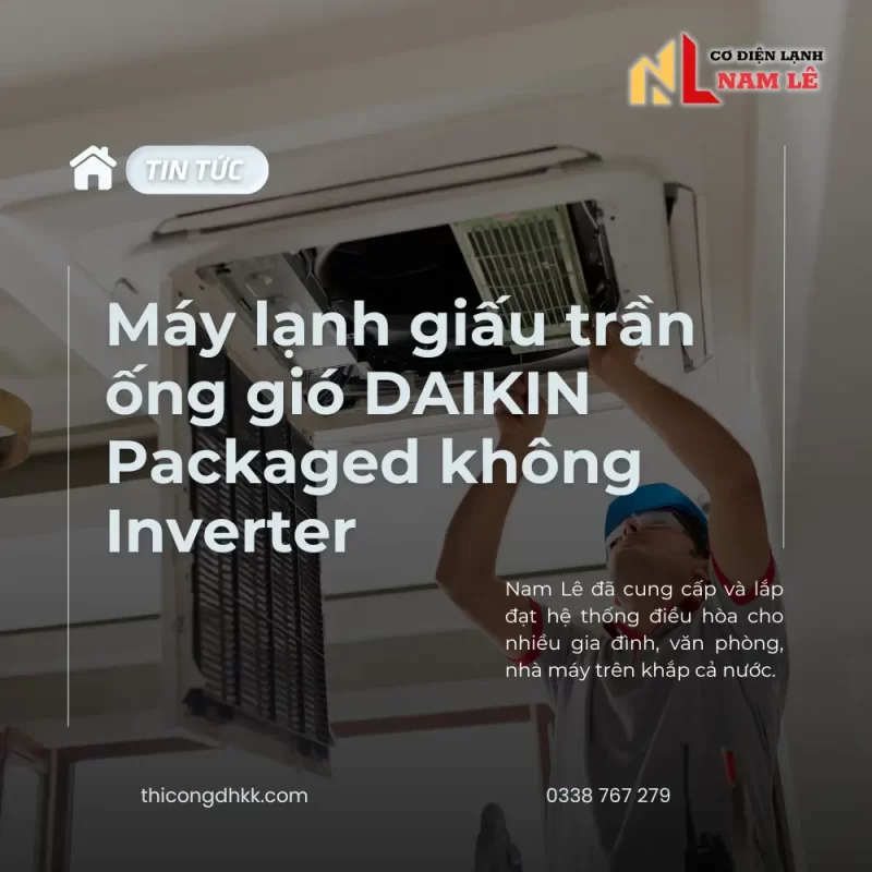 image tintuc namle 101 nl