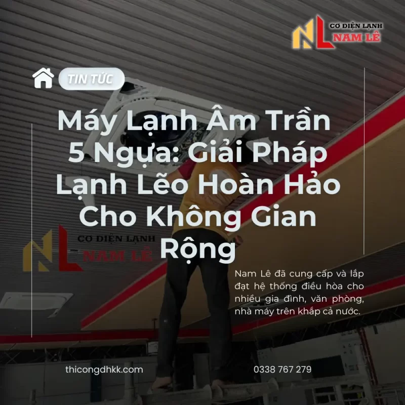 may lanh am tran 5 ngua